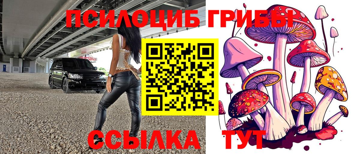Кубинка  Псилоцибиновые грибы Psilocybe  Вход с VPN 