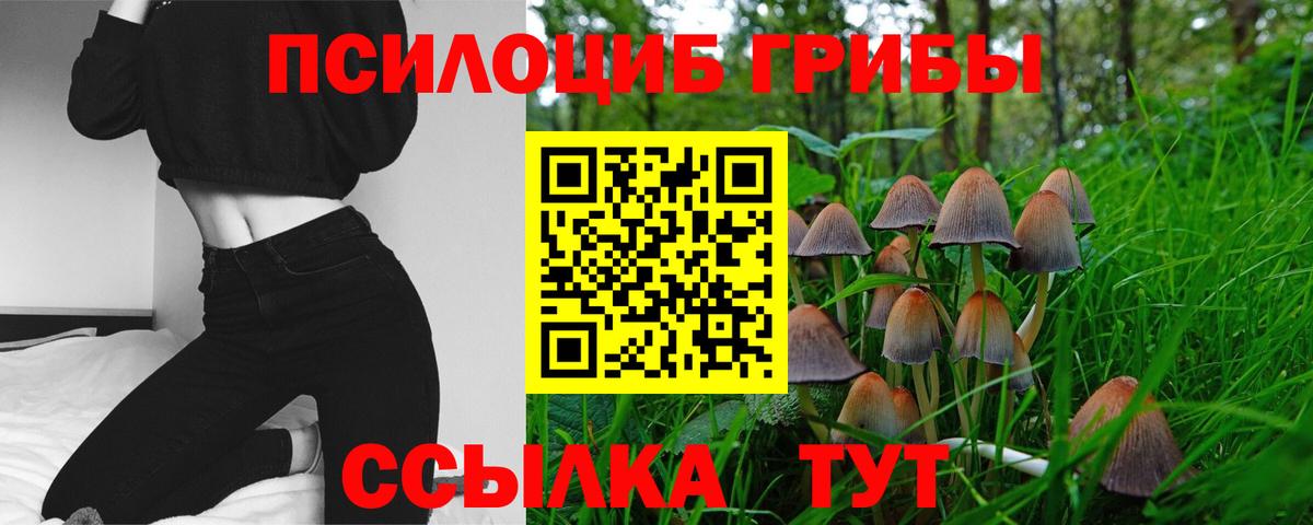 Галлюциногенные грибы Psilocybine cubensis Кубинка